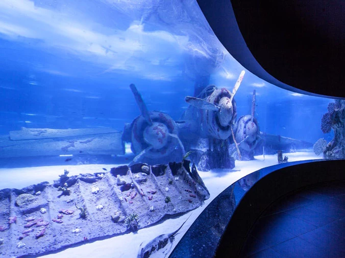Billet Aquarium d'Antalya - 10